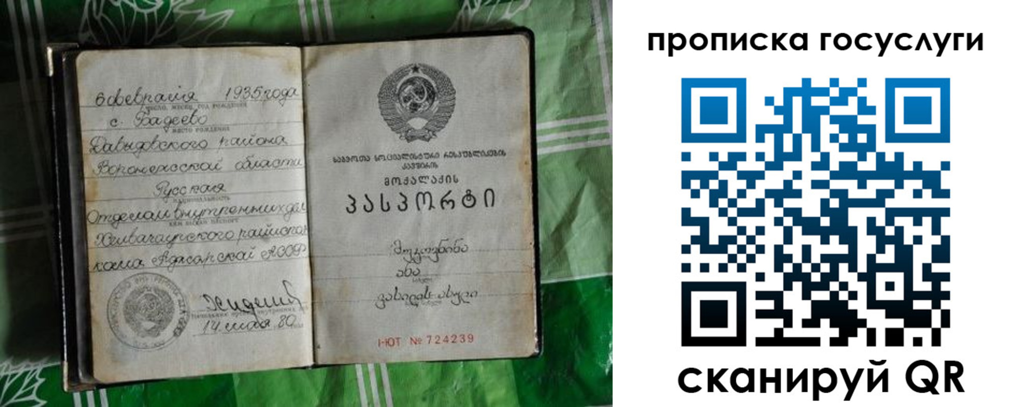 прописка паспорт в Болотном